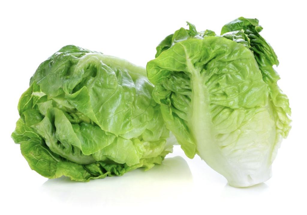 Cogollo de lechuga ecológico