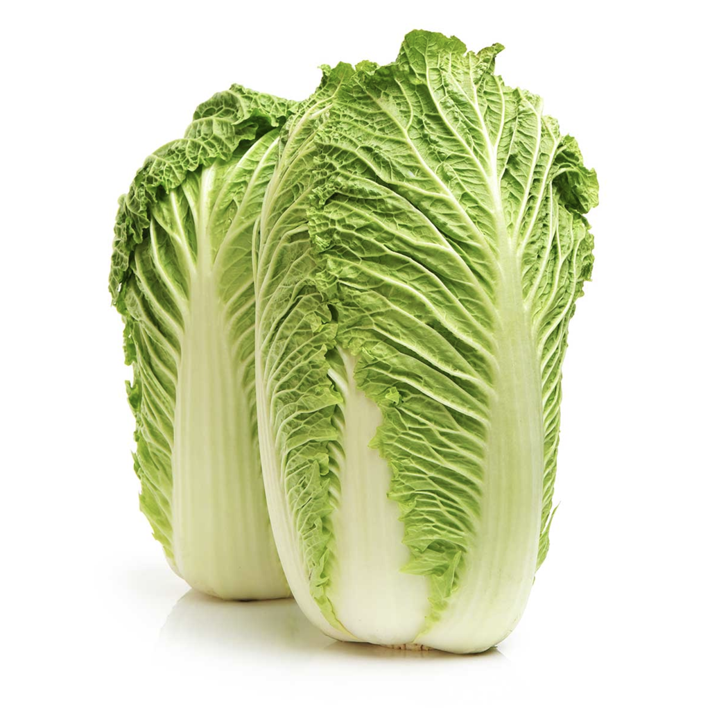 Organic chinese cabbage