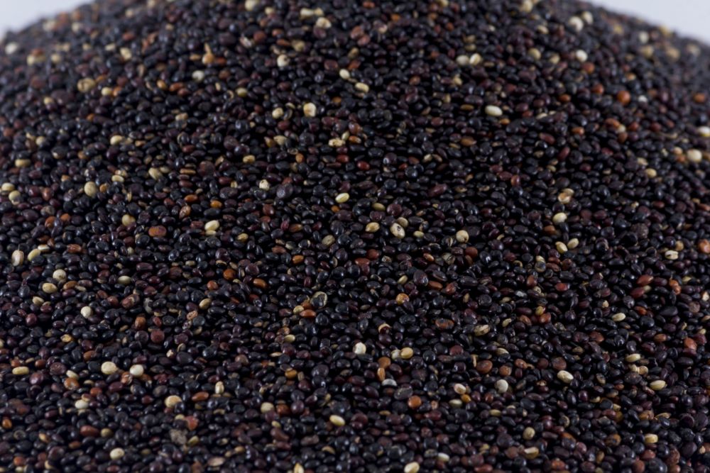 Quinoa negra ecológica