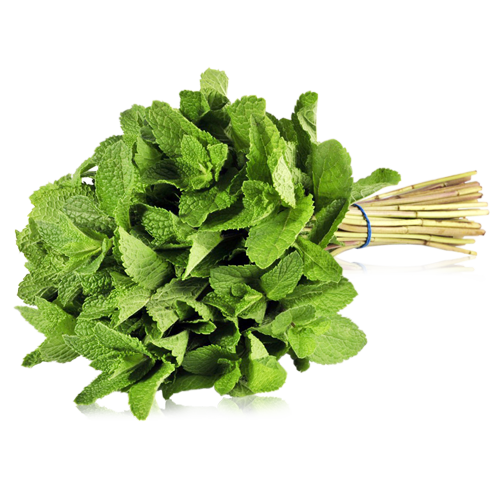 Hierbahuerto ecológico