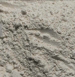 Harina de avena integral ecológica