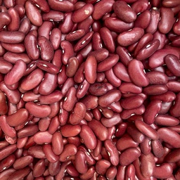 Barco de Ávila red bean