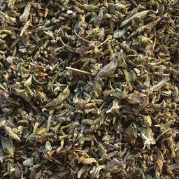 [ALI0009POL] Poleo mint or "Pennyroyal"